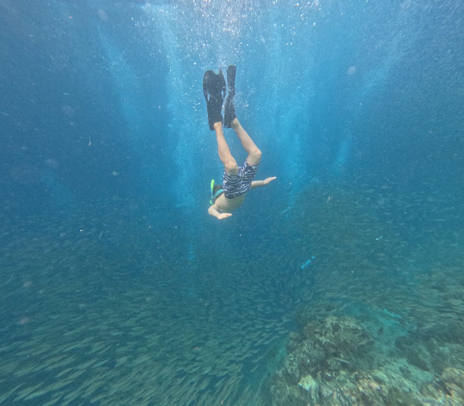 Gilis Snorkeling Safari